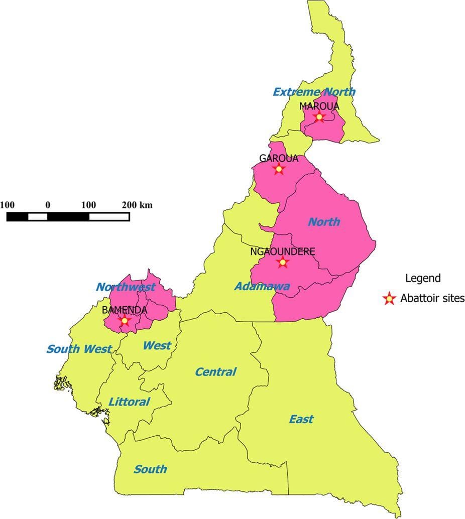 Kamerun gösteren bölge haritası