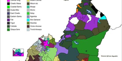 Kamerun harita dil